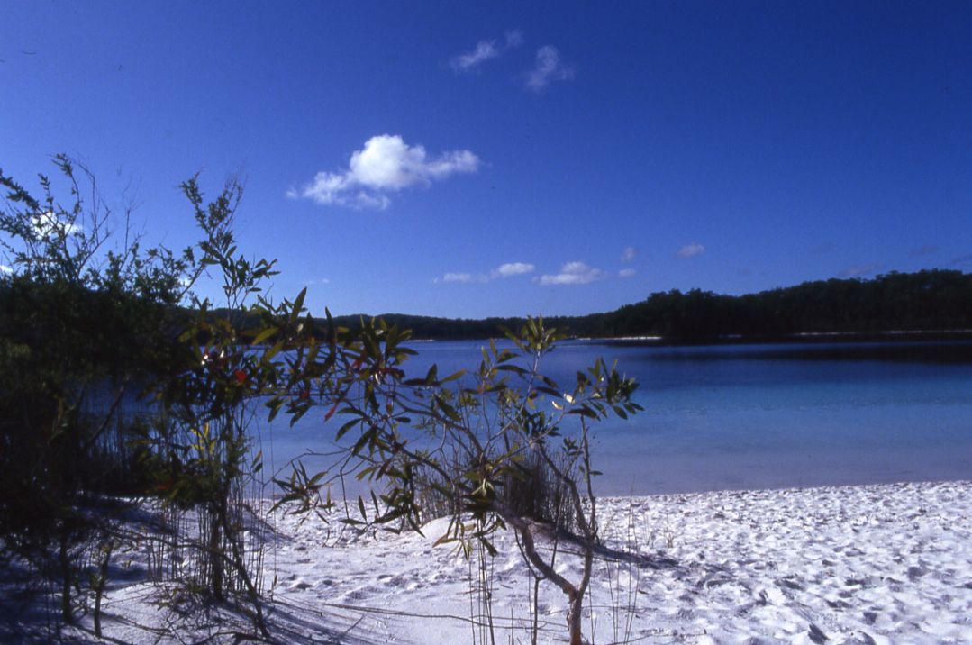 Lac McKenzie, sable blanc, eau limpide…